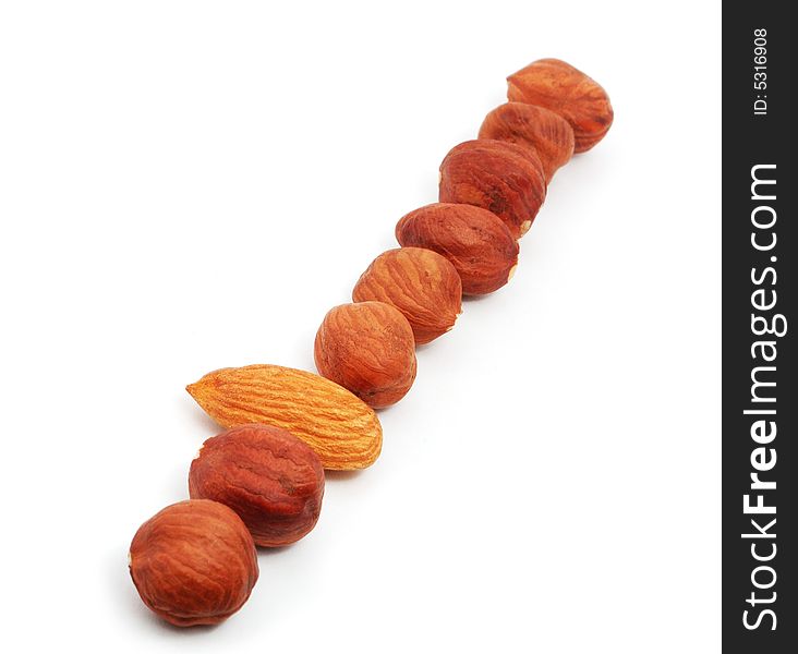 Row of hazels and one almond on the white background. Row of hazels and one almond on the white background
