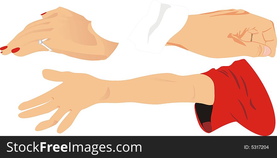 Hands of a woman, men and child. Vector illustration.