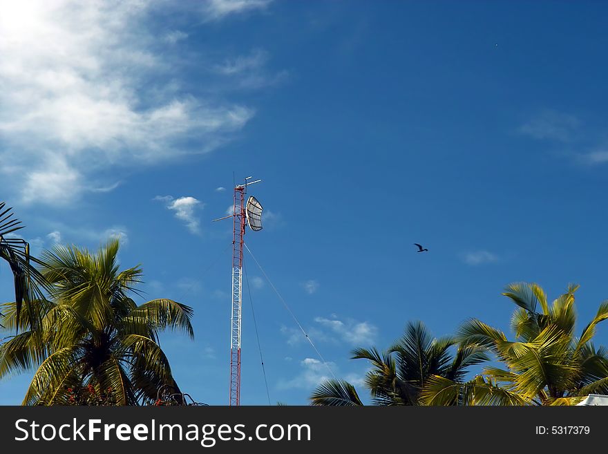 Antennes, link station for radar , radiocomunication, telecomunication. Antennes, link station for radar , radiocomunication, telecomunication