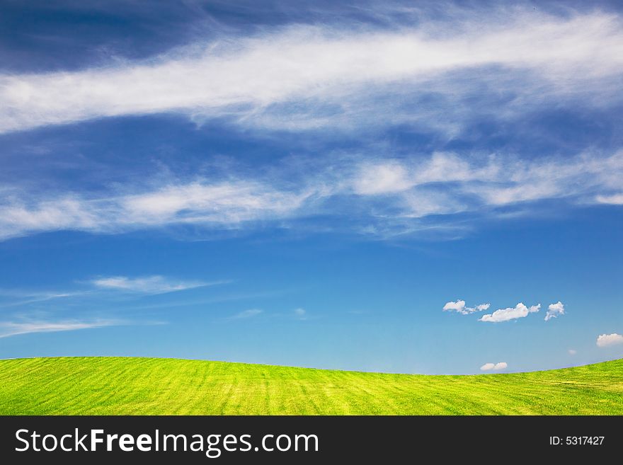 Summer landscape - green fields, the blue sky. Summer landscape - green fields, the blue sky