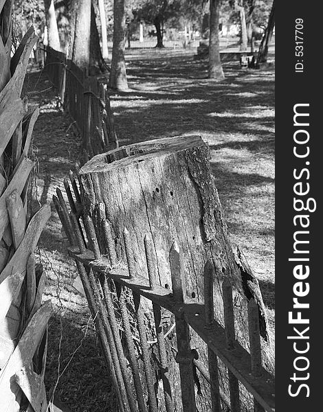 An iron fence wraps around an old stump