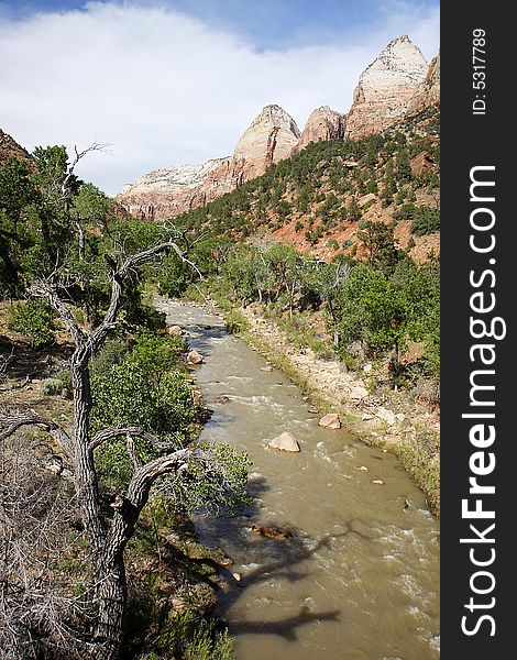 View of thr virgin river in Zion NP. View of thr virgin river in Zion NP