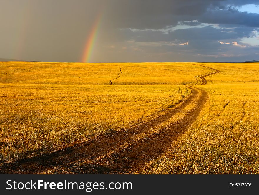 Beautiful yellow landscape with the sun grass and brown road. Beautiful yellow landscape with the sun grass and brown road.