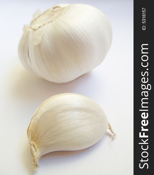 Garlic in a white background