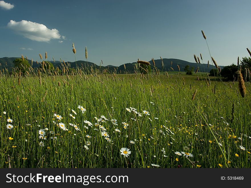 Beautiful summer landscape in Slovakia. Beautiful summer landscape in Slovakia