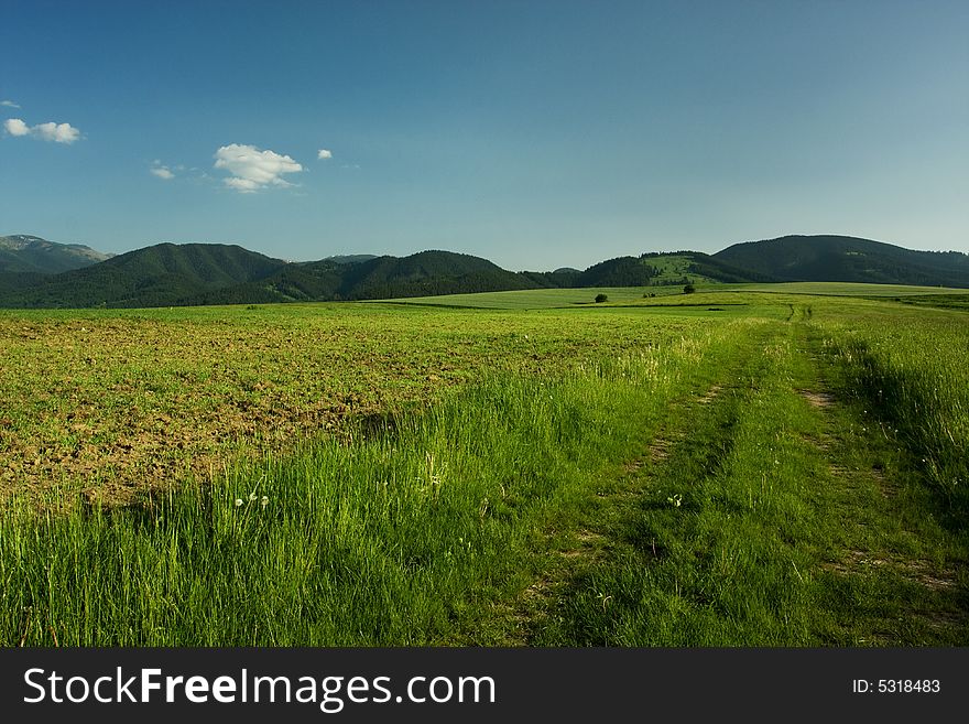 Beautiful summer landscape in Slovakia