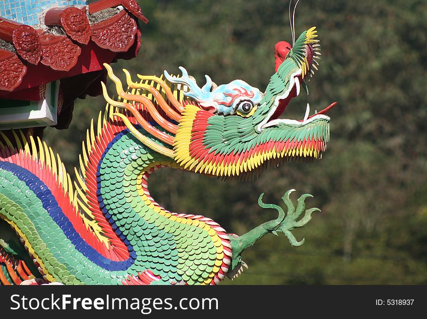 Chinese dragon on a temple in Taiwan. Chinese dragon on a temple in Taiwan