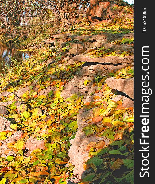 Fall leaves with big rock next to a creek. Fall leaves with big rock next to a creek