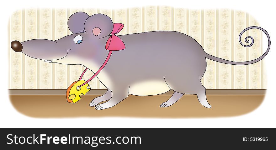 Rat