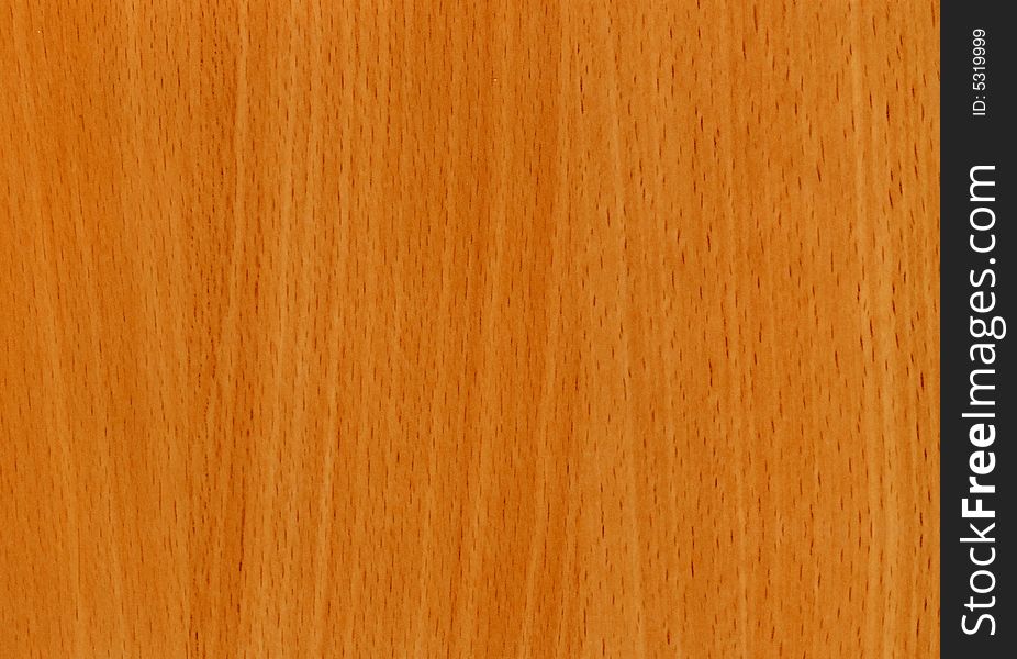 Close-up wooden Beech Bavaria texture