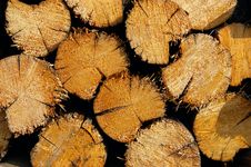 Woodpile Of Fire Wood Royalty Free Stock Image Woodpile Of Fire Wood Royalty Free Stock Image