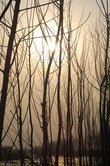 Sunset Light Royalty Free Stock Photo Sunset Light Royalty Free Stock Photo