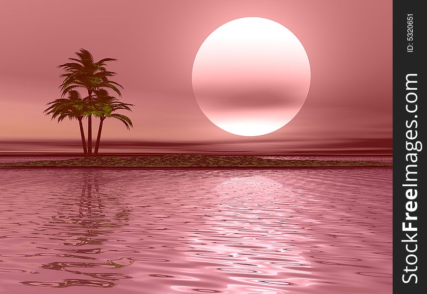 Palm Tree Landscape