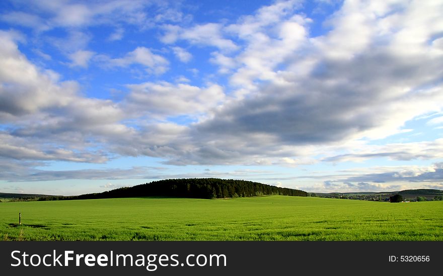Green field, blue sky and forest - Russian nature. Green field, blue sky and forest - Russian nature