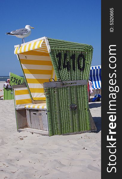 Huge seagull sitting on a beach chair