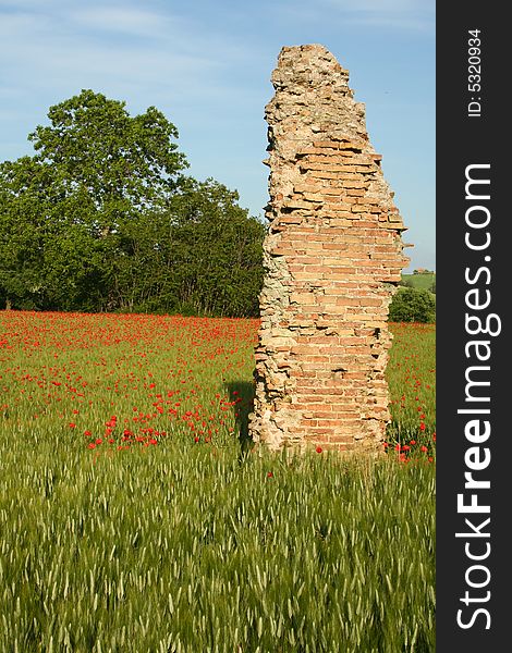 Remains of the wall of a Roman town stand in a wheat and poppy field near Urbisaglia, Le Marche, central Italy. Remains of the wall of a Roman town stand in a wheat and poppy field near Urbisaglia, Le Marche, central Italy