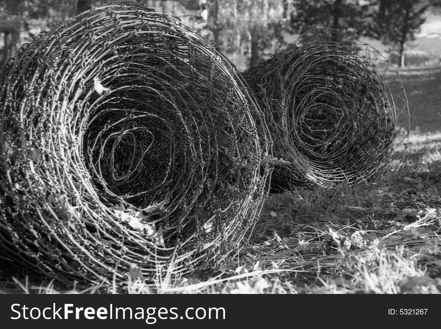 duble barbed wire into the grass - Black & white foto