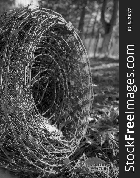 Barbed Wire into the grass - Black & white foto