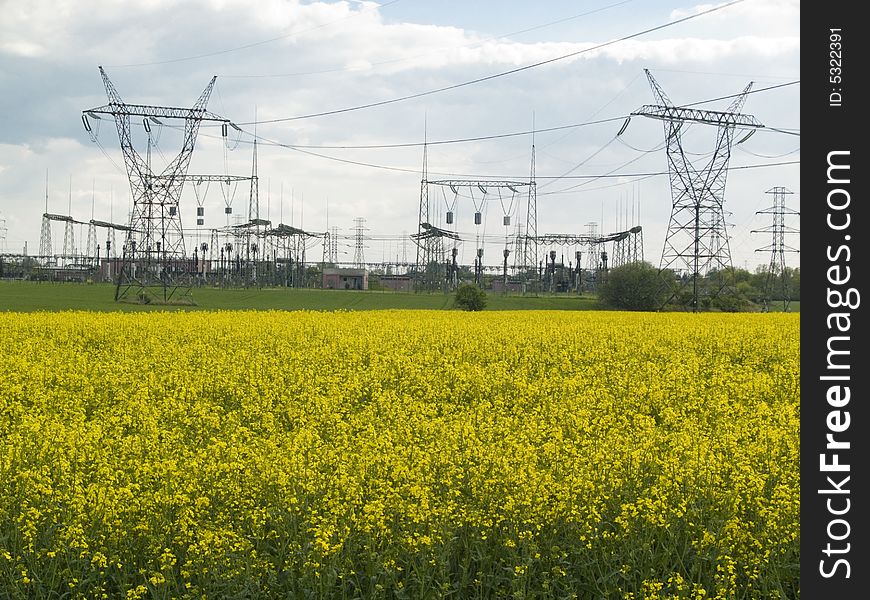 Yellow rape field and pylon line. Sprong day.