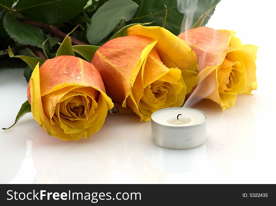 Three Orange Roses And A Smoking Candle