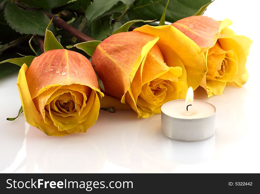 Yellow-red roses and candle lit, reflection on white background. Yellow-red roses and candle lit, reflection on white background