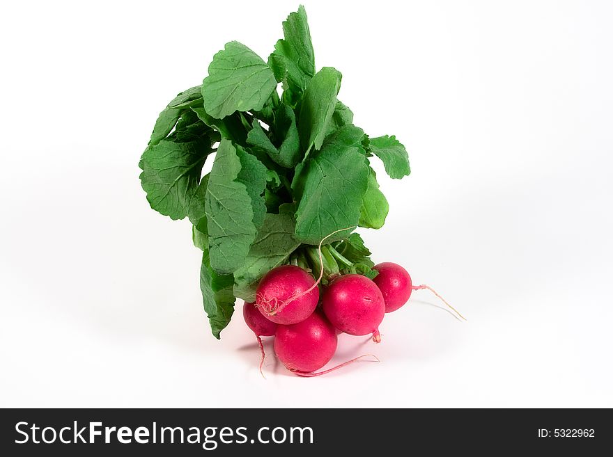 A bunch of fresh radishes on white background