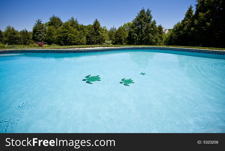 Wide angle view of a garden pool