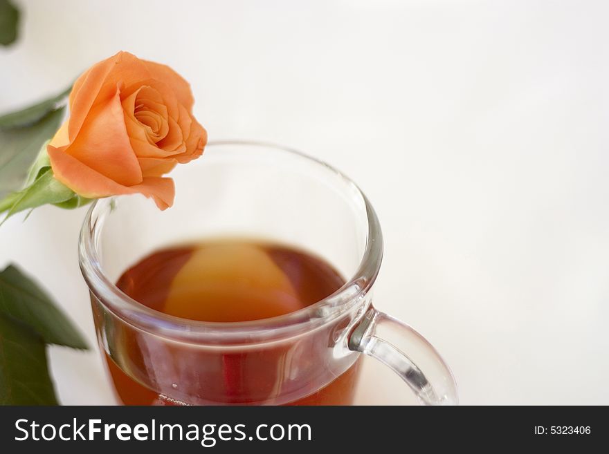 A cup of tea isolated on white. A cup of tea isolated on white