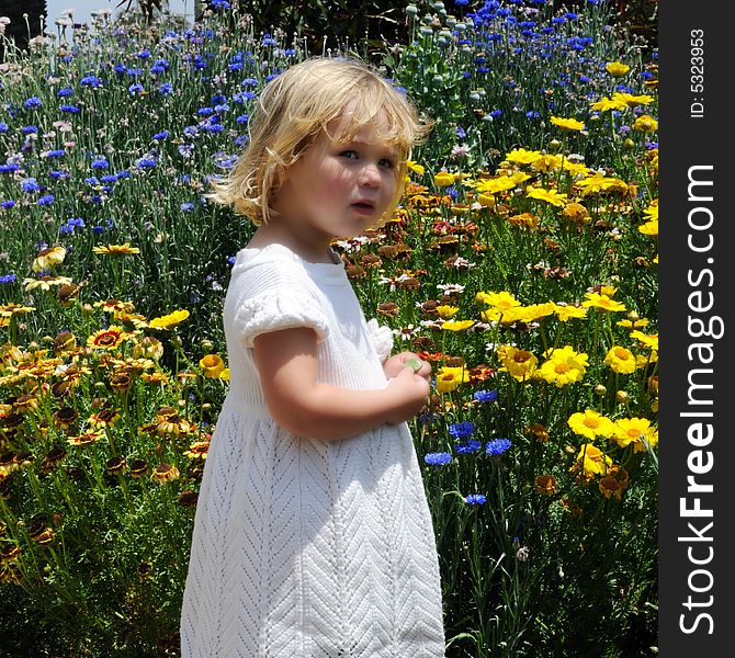 Little girl stands in front of a profusion of blue and yellow flowers, holding a leaf in her hands. Little girl stands in front of a profusion of blue and yellow flowers, holding a leaf in her hands.