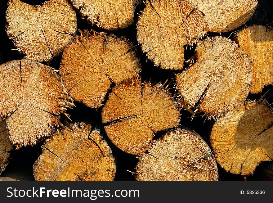 Woodpile of fire wood