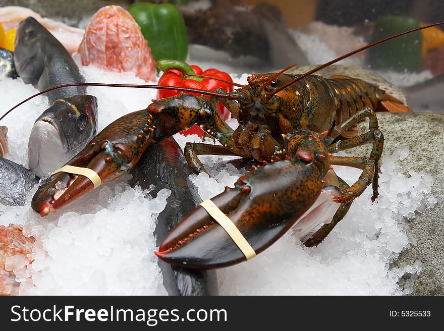 Lobster, a various fish on an ice, pepper.