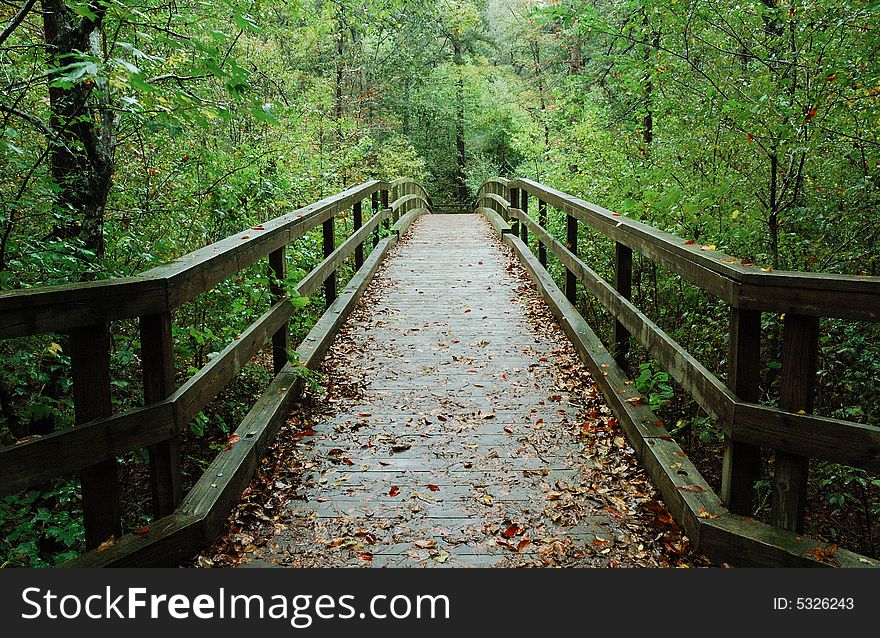Walking Bridge Over a Stream in a Forest. Walking Bridge Over a Stream in a Forest
