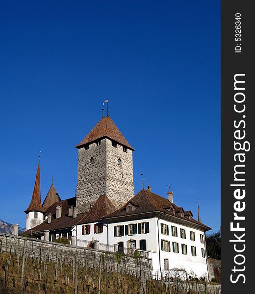 The medieval castle of Spiez set on a spur on the Lake Thunersee in central Switzerland. The medieval castle of Spiez set on a spur on the Lake Thunersee in central Switzerland.