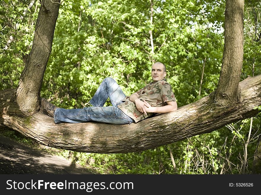 Young Man Relaxing On The Tree