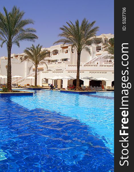 Swimming pool and palms near the hotel