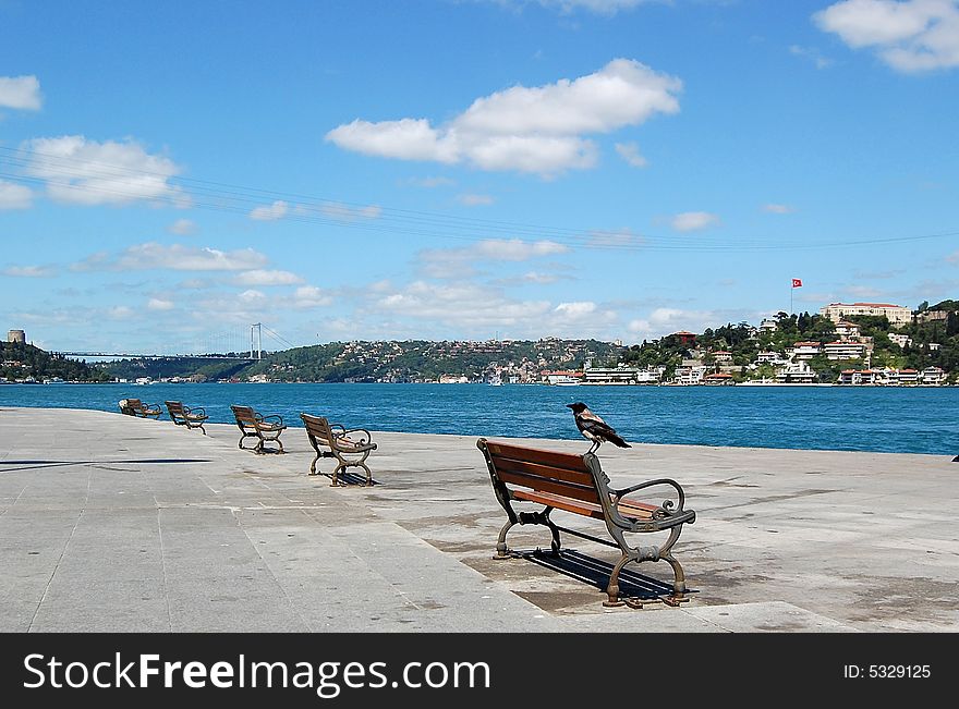 A crow perched on the edge of the back of one of the wooden benches with iron armrest and legs lined on the coast of Bosphorus Straight. Also in view: the blue sea, blue sky with partial clouds, the historical fortress, green trees, houses on the other coast, and the suspension bridge. High voltage electric lines crossing over the sea are also visible. A crow perched on the edge of the back of one of the wooden benches with iron armrest and legs lined on the coast of Bosphorus Straight. Also in view: the blue sea, blue sky with partial clouds, the historical fortress, green trees, houses on the other coast, and the suspension bridge. High voltage electric lines crossing over the sea are also visible.