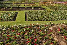 Botanical Garden Royalty Free Stock Photos Botanical Garden Royalty Free Stock Photos
