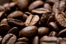 Freshly Roasted Coffee Beans On Sackcloth Stock Image Freshly Roasted Coffee Beans On Sackcloth Stock Image