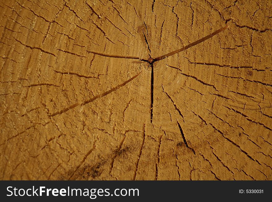 New radial horizontal oriented  wooden texture  background