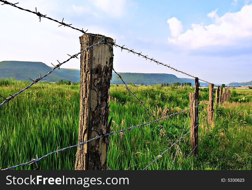Meadow with fence