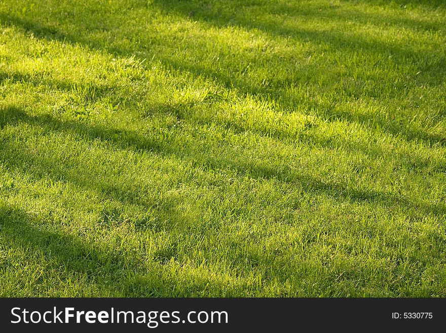 Early morning green spring lawn background with shadows. Early morning green spring lawn background with shadows.