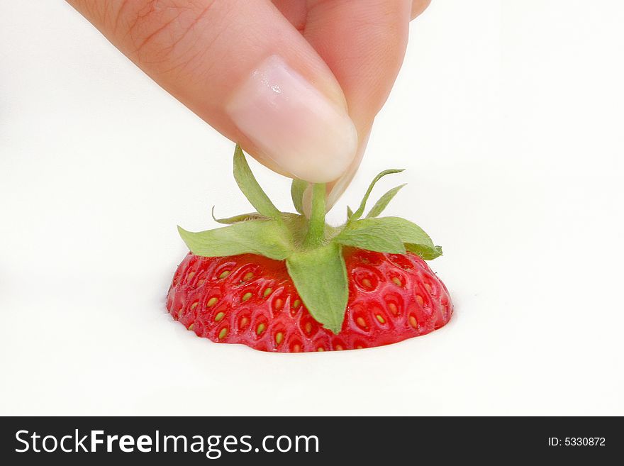 Ripe strawberries in the fingers of a girl
