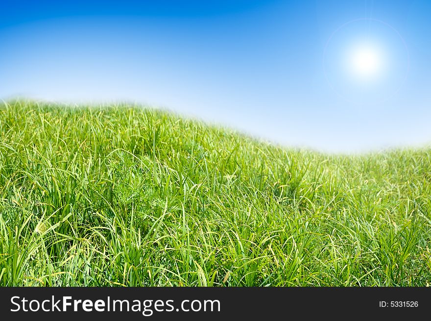 Green grass and blue sky background. In bright colours.