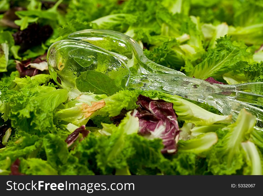 A close-up of fresh organic creens and salad tongs. A close-up of fresh organic creens and salad tongs