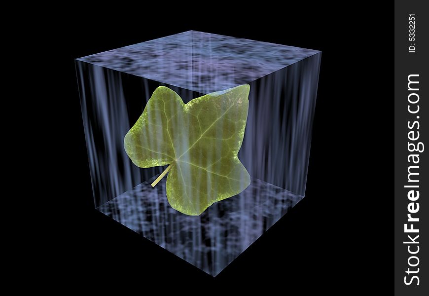 The frozen green leaf in a cube of an ice. The frozen green leaf in a cube of an ice