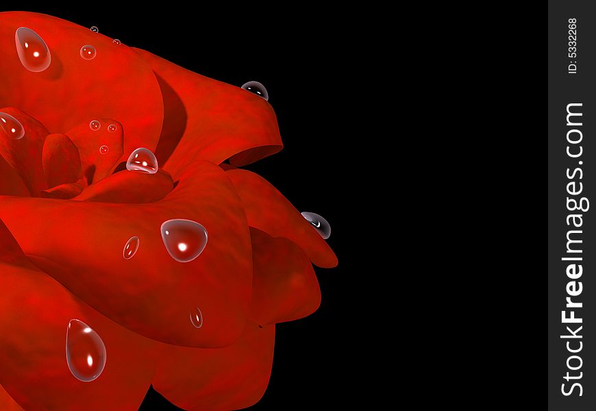 Drops of dew on a red beautiful rose. Drops of dew on a red beautiful rose