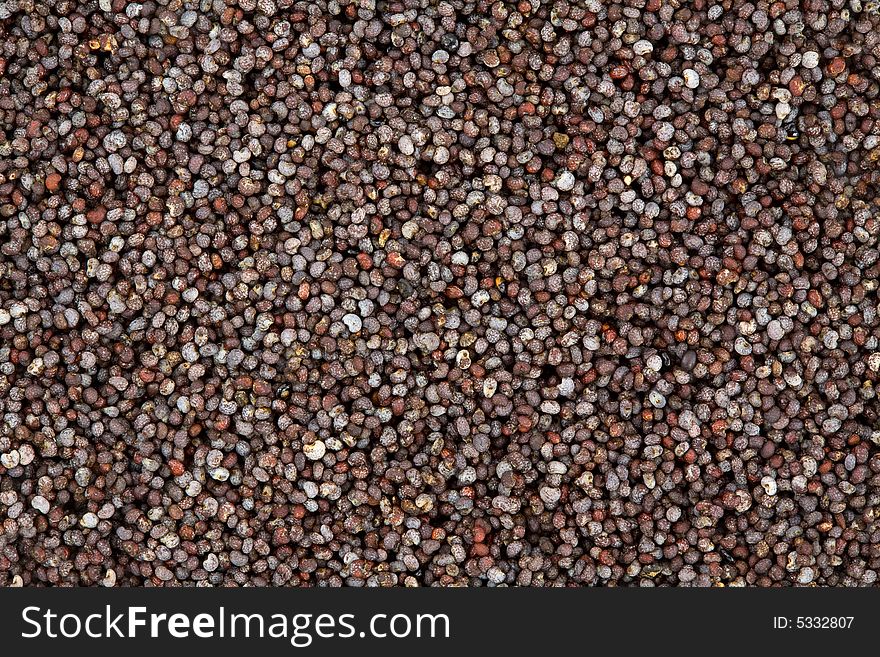 Closeup of a Multitude of Poppy Seeds. Closeup of a Multitude of Poppy Seeds