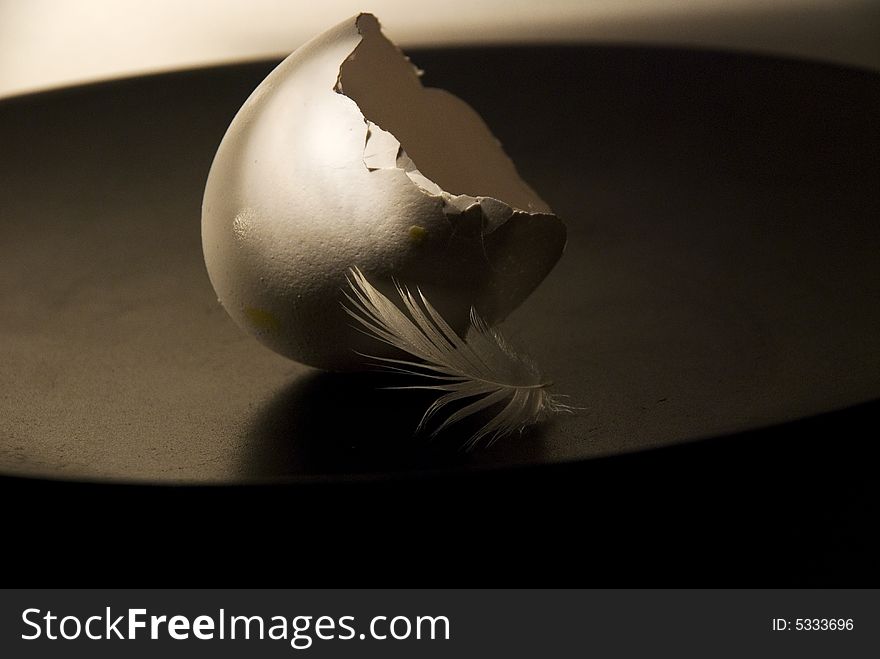 Eggshell with feather