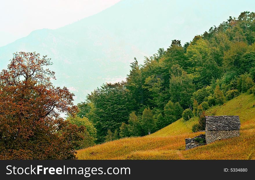 Hut in the meadow