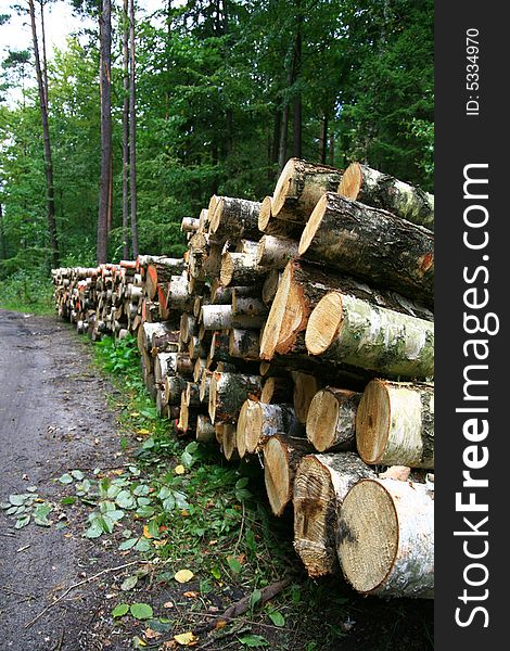 Pile wood in forest, wood texture,